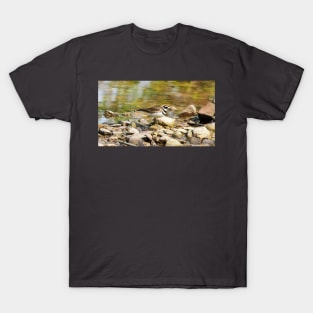 Killdeer Exploring On Some Rocks T-Shirt